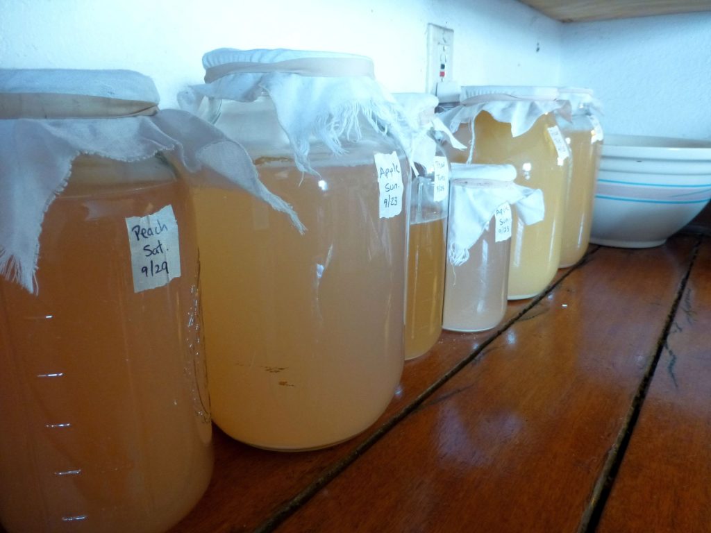 fruit-vinegar